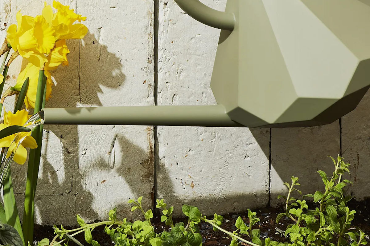 (Rocky Luten / Food52)