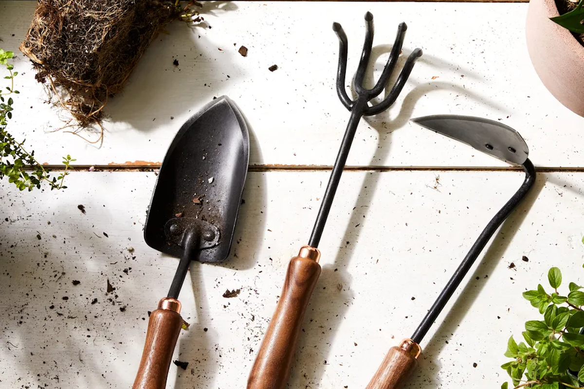 (Ty Mecham / Food52)
