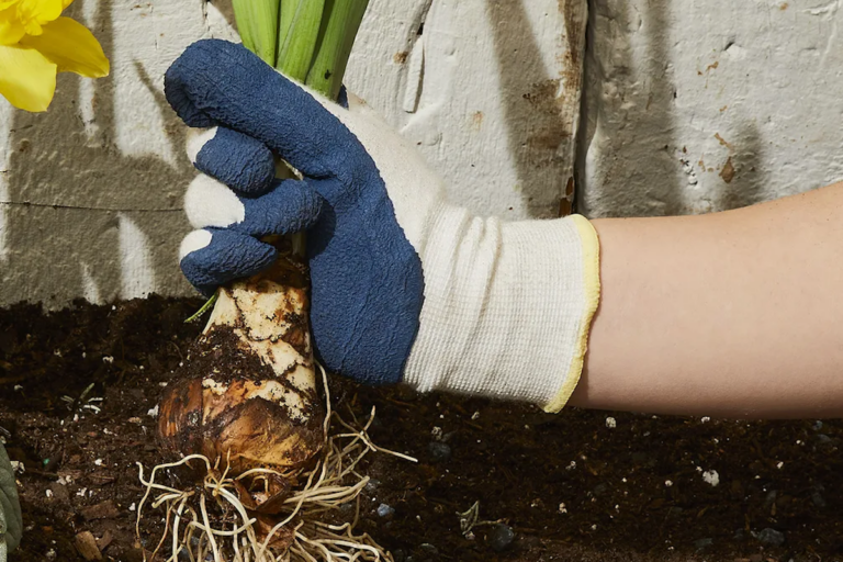 (Rocky Luten / Food52)