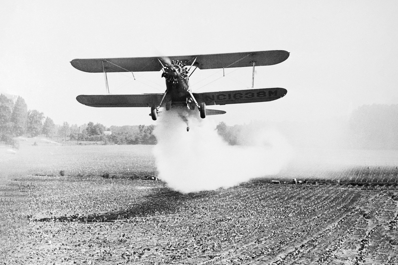 Dusting a broccoli seed bed, the speeding plane throws out a tail of insect-killing dust that gets underneath as well as on top of the small leaves. (Bettmann/Getty Images)