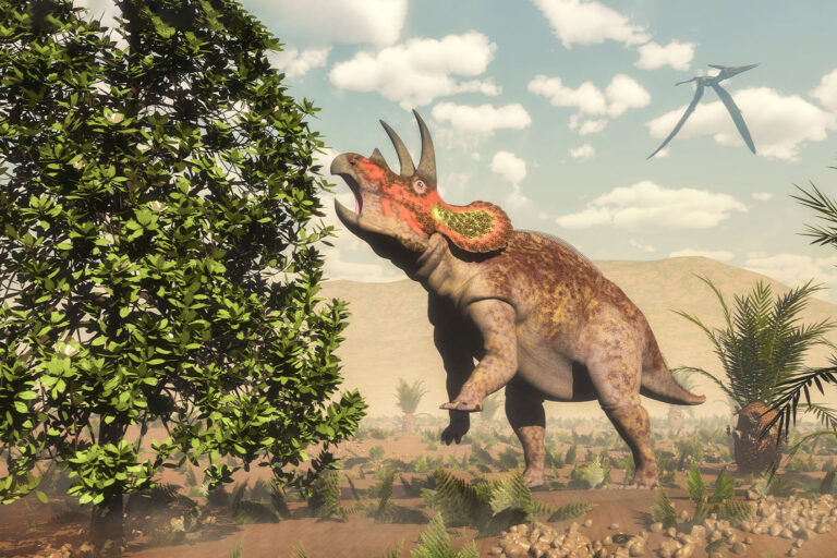Triceratops grazing on a magnolia tree next to cycas (Getty Images/Stocktrek Images)