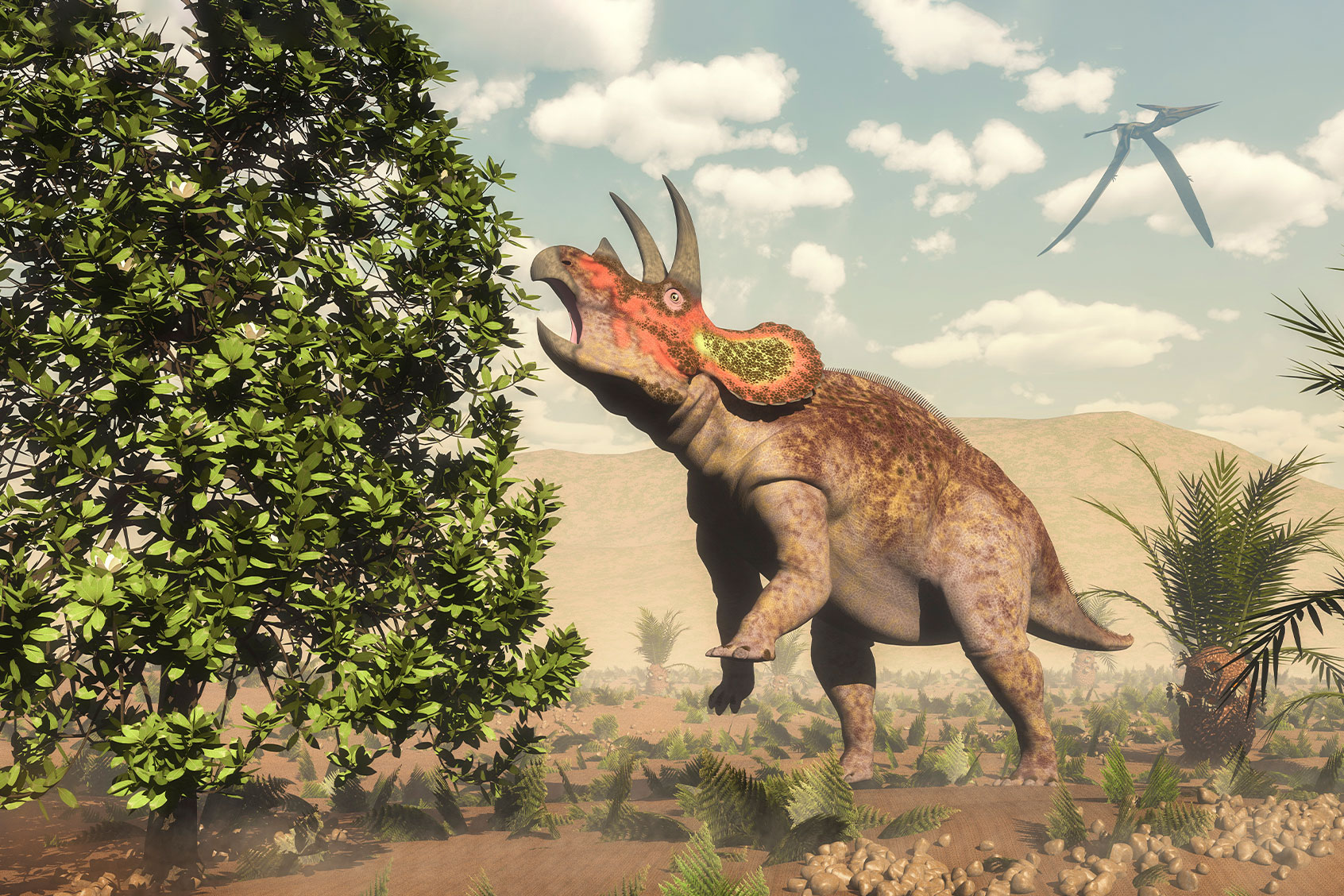 Triceratops grazing on a magnolia tree next to cycas (Getty Images/Stocktrek Images)