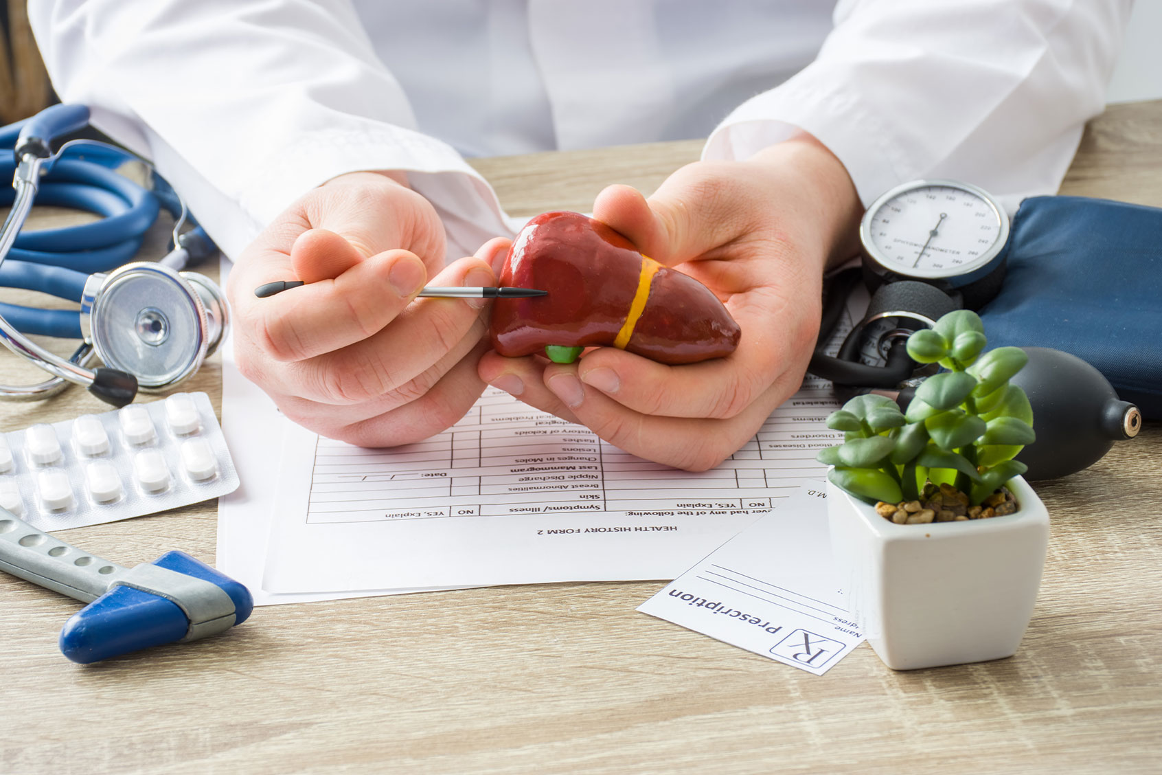 The physician shows to patient a model of the liver (Getty Images/Shidlovski)
