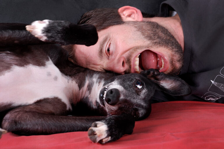 Young man playing with black greyhound on sofa. (Getty Images/lucia meler)