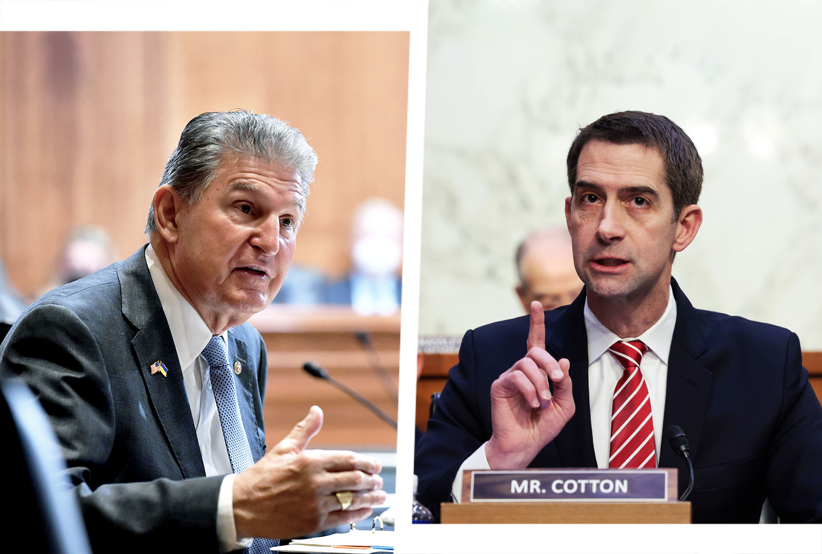 Joe Manchin and Tom Cotton (Photo illustration by Salon/Getty Images)