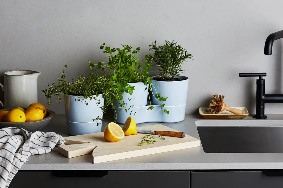 (Bobbi Lin / Food52)