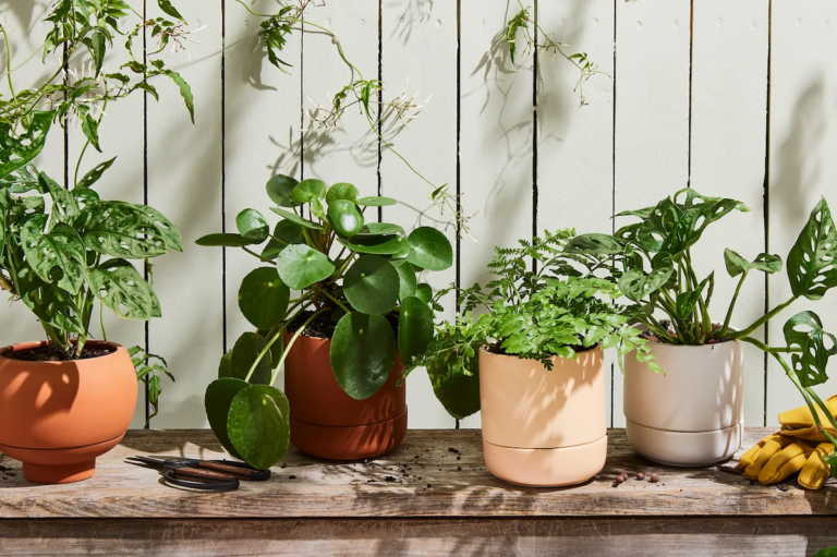 (Rocky Luten / Food52)