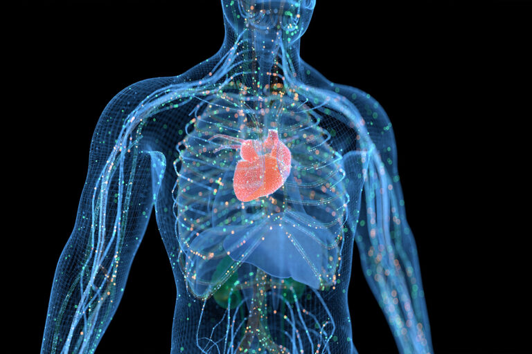 Body System concept (Getty Images/zf L)