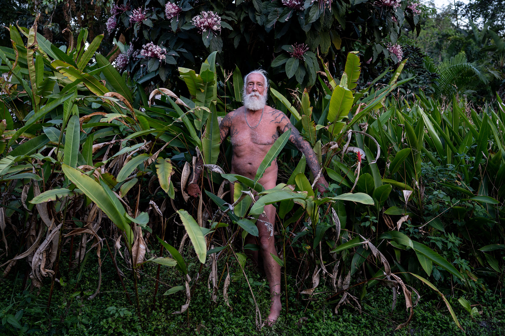 Naked Gardens (Patrick Bresnan)