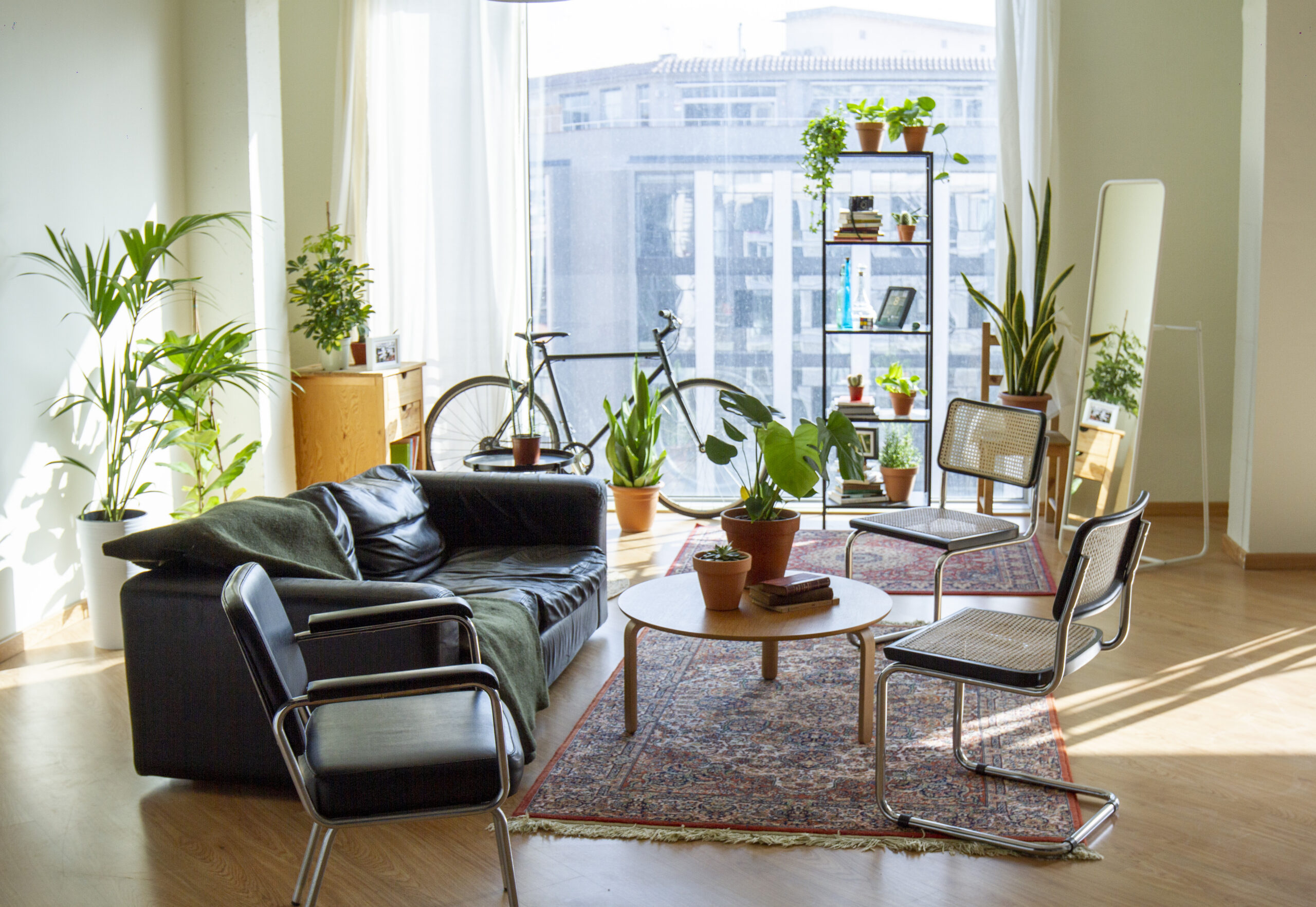 Modern Livingroom (Josep Gutierrez/Getty Images)