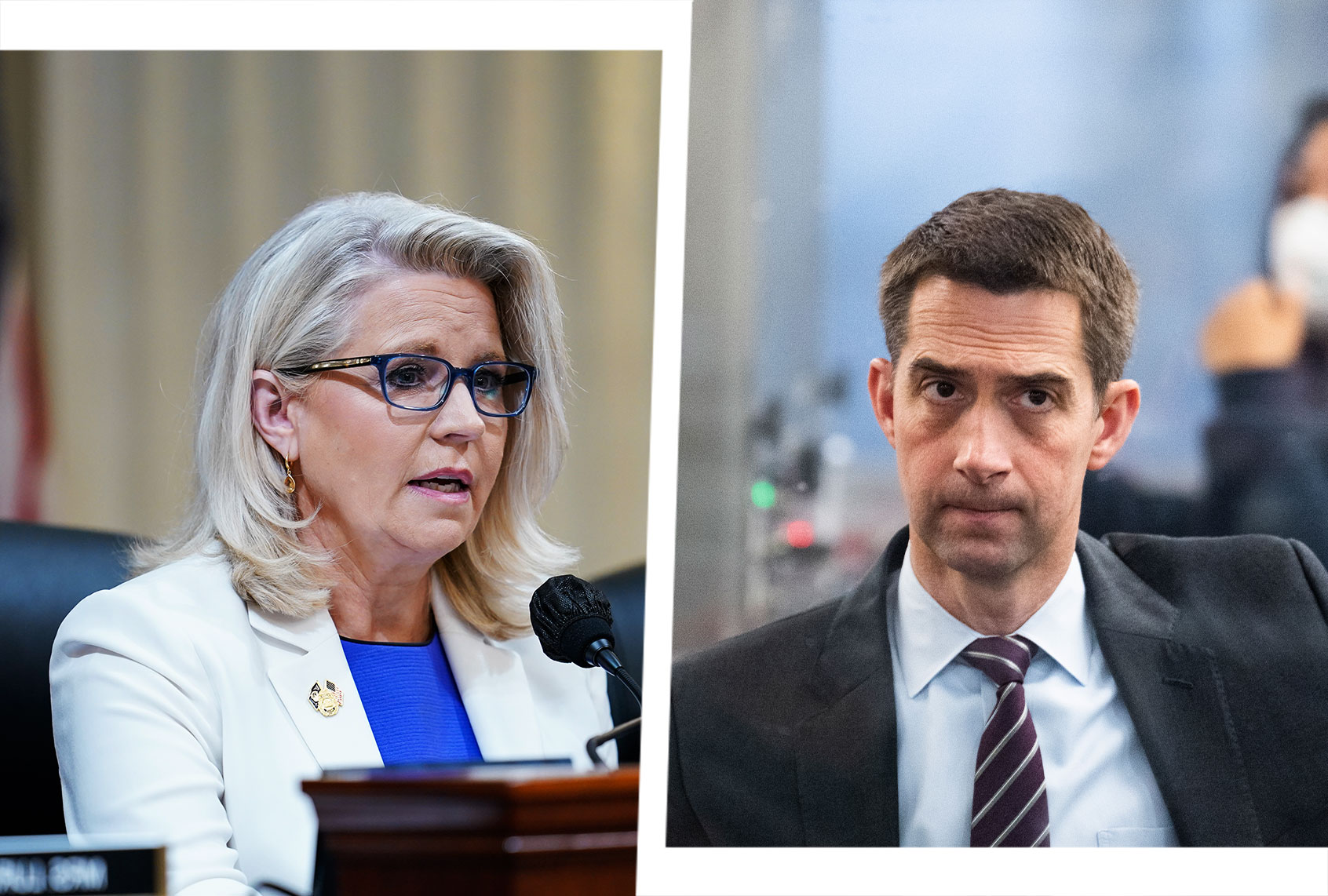Rep. Liz Cheney (R-Wyo.) | Sen. Tom Cotton (R-Ark.) (Photo illustration by Salon/Getty Images)