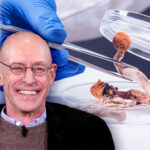 Michael Pollan explains why any drug can be a 