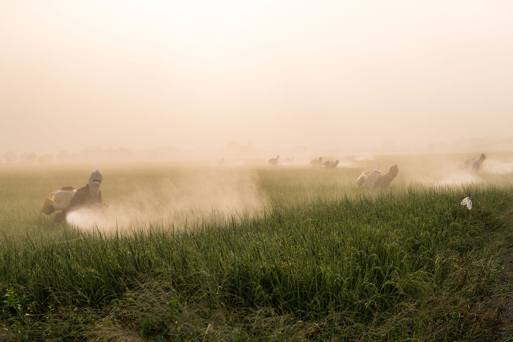 Farmers spraying pesticide on a field (Getty Images/Arun Roisri)