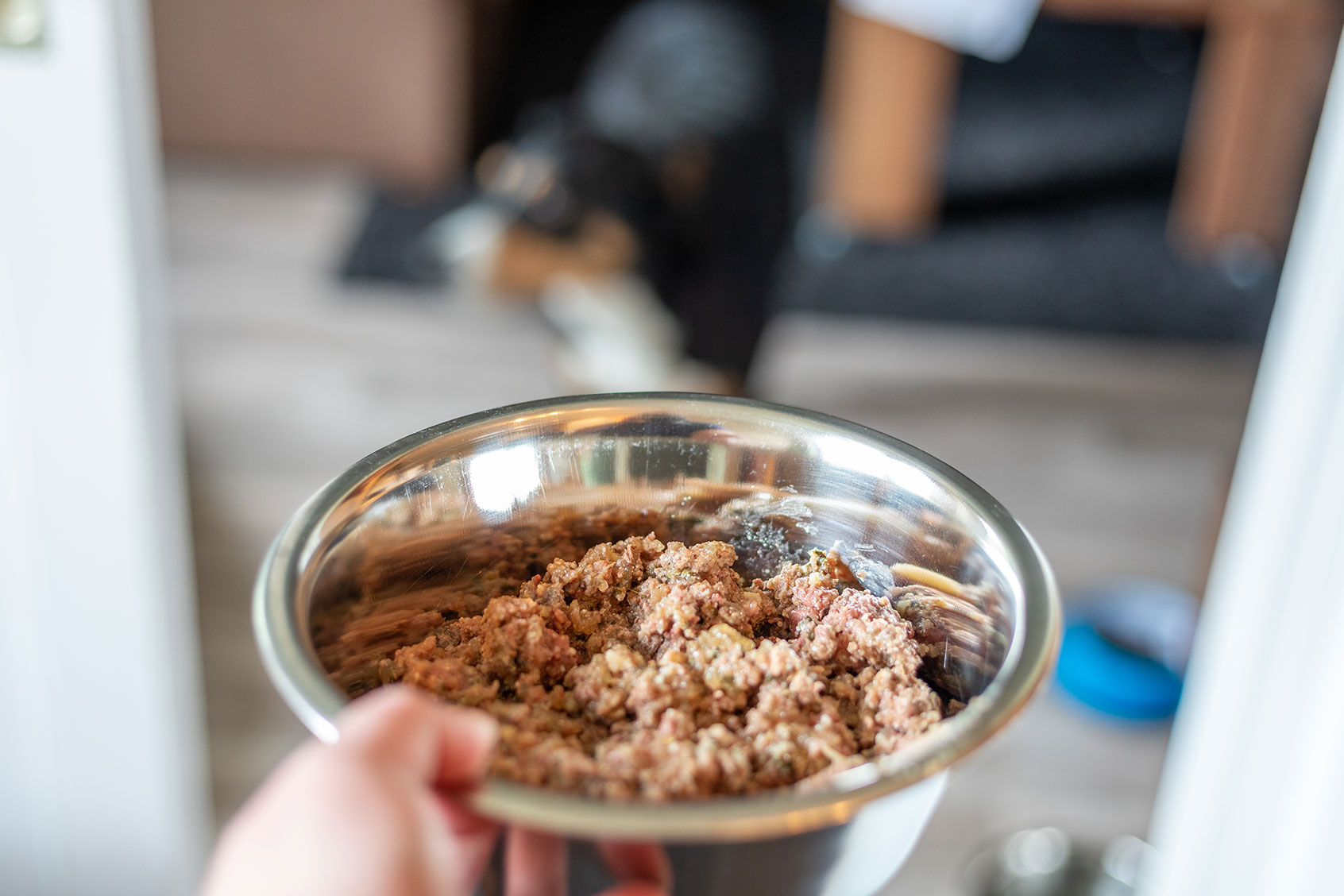 Wet food for dogs in metal bowl (Getty Images/Vincent Scherer)