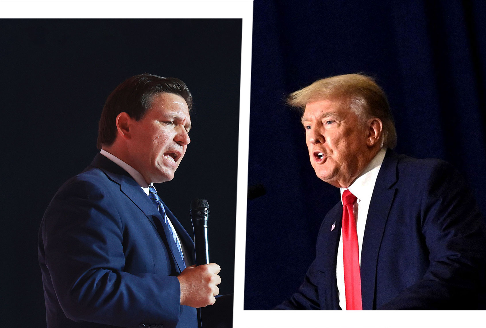 Ron DeSantis and Donald Trump (Photo illustration by Salon/Getty Images)