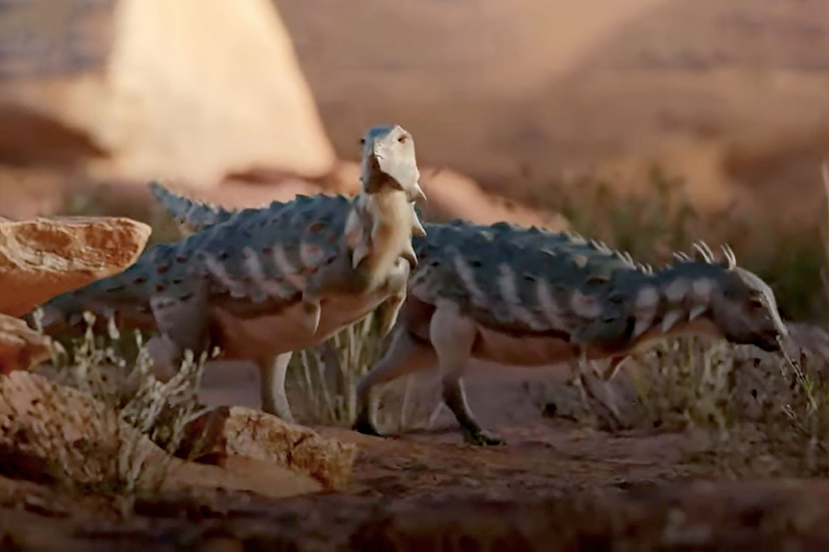 The Jakapil kaniukura dinosaur (WikiCommons/CONICET/Félix de Azara Natural History Foundation)