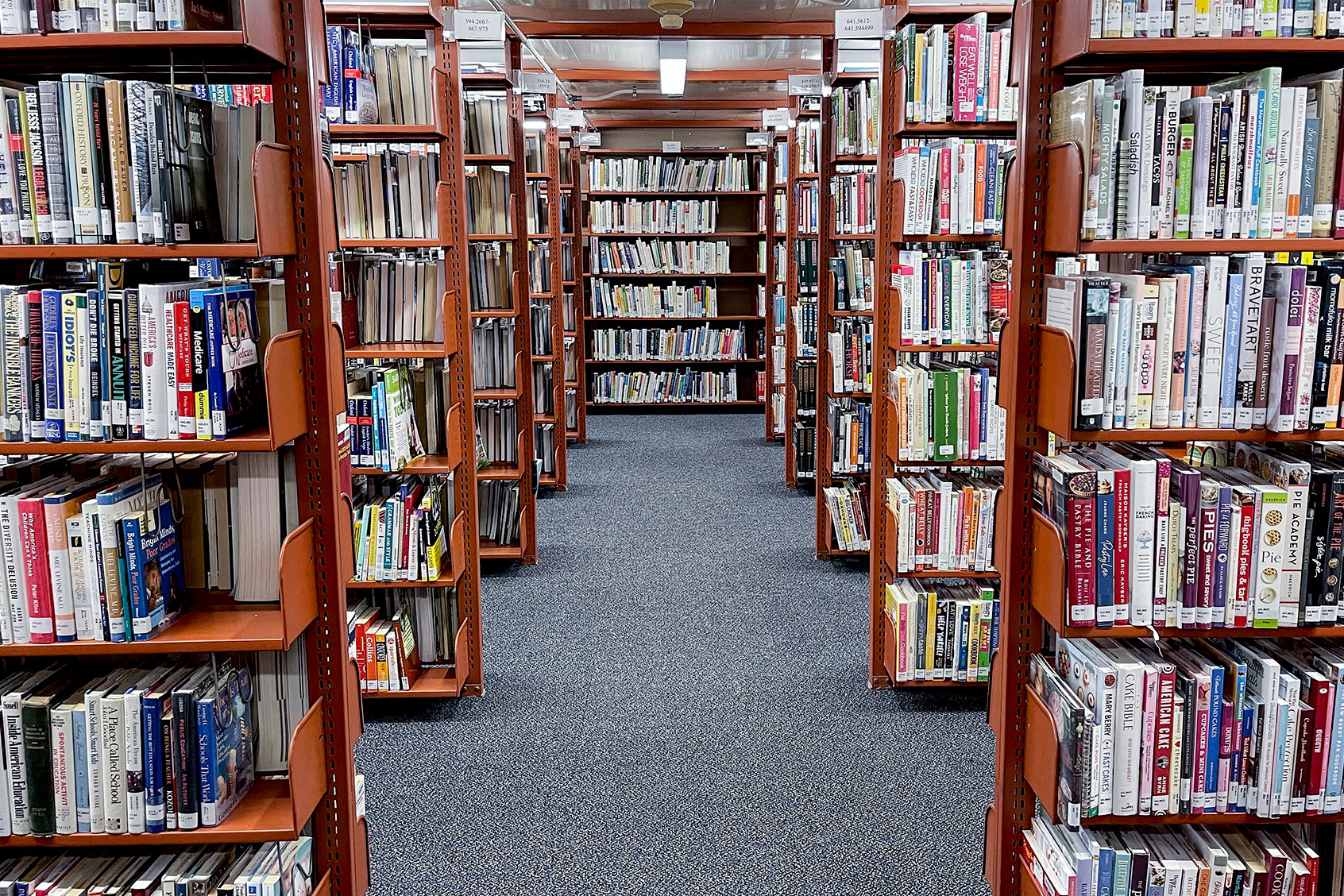 Library In Reading Pennsylvania (Ben Hasty/MediaNews Group/Reading Eagle via Getty Images)