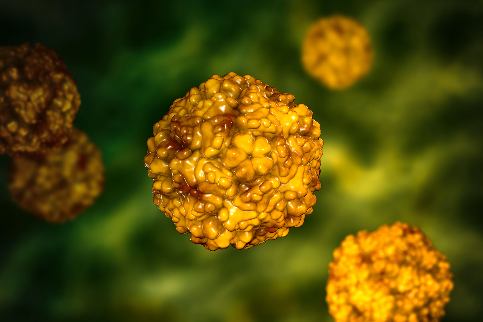 Enteroviruses, a group of RNA-viruses of the Picornaviridae family including Echo-viruses, Coxsackie-viruses, Rhino-viruses, Polio-virus and other (Getty Images/Dr_Microbe)