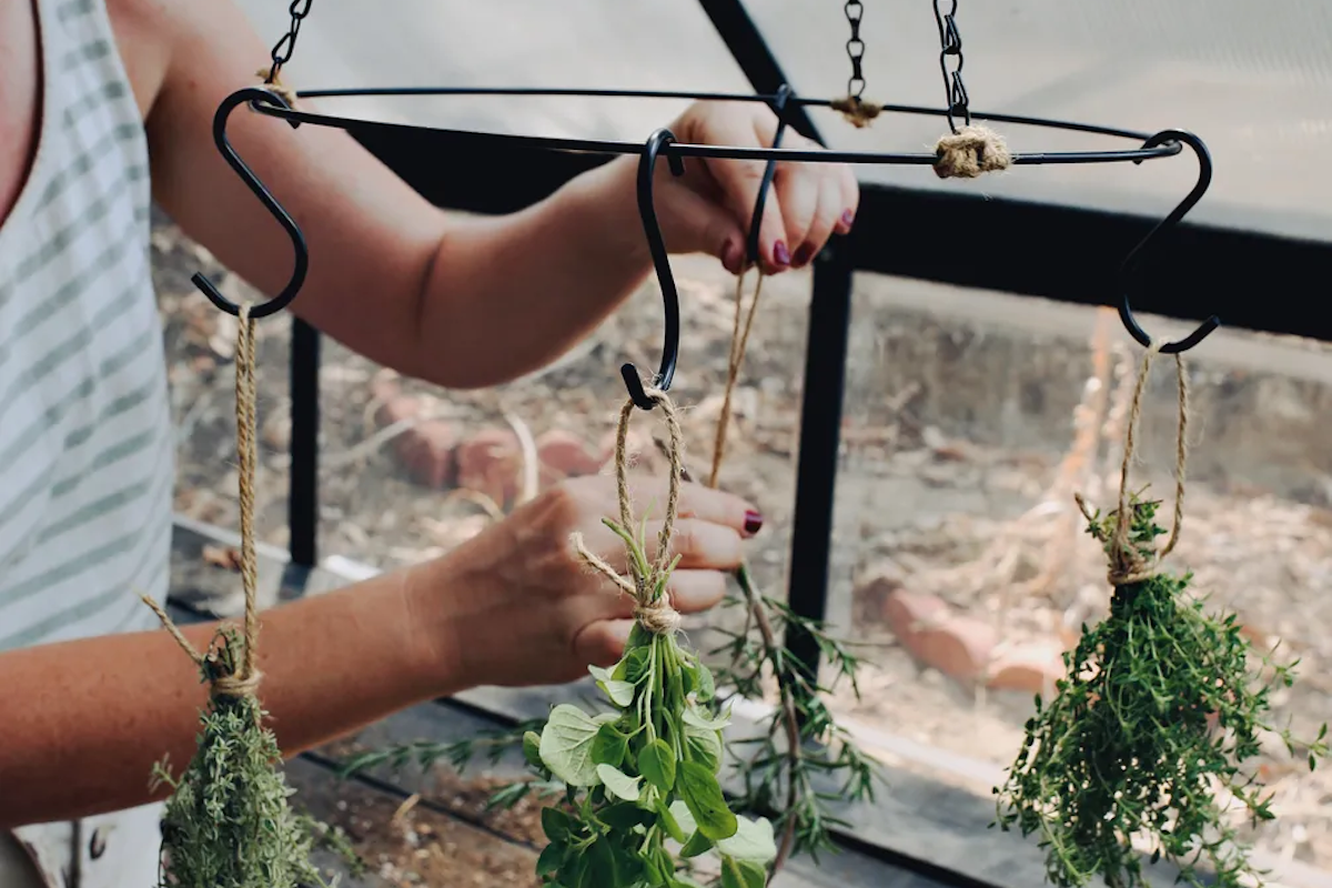 (Kristin Guy / Food52)