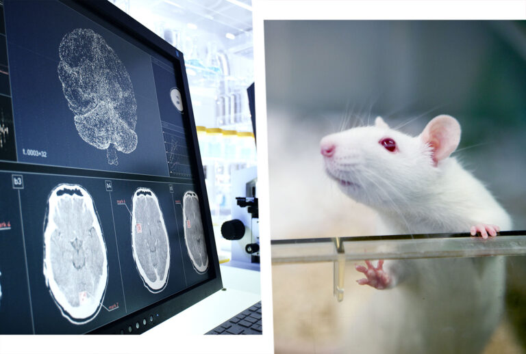 Human brain scan | Laboratory rat (Photo illustration by Salon/Getty Images)