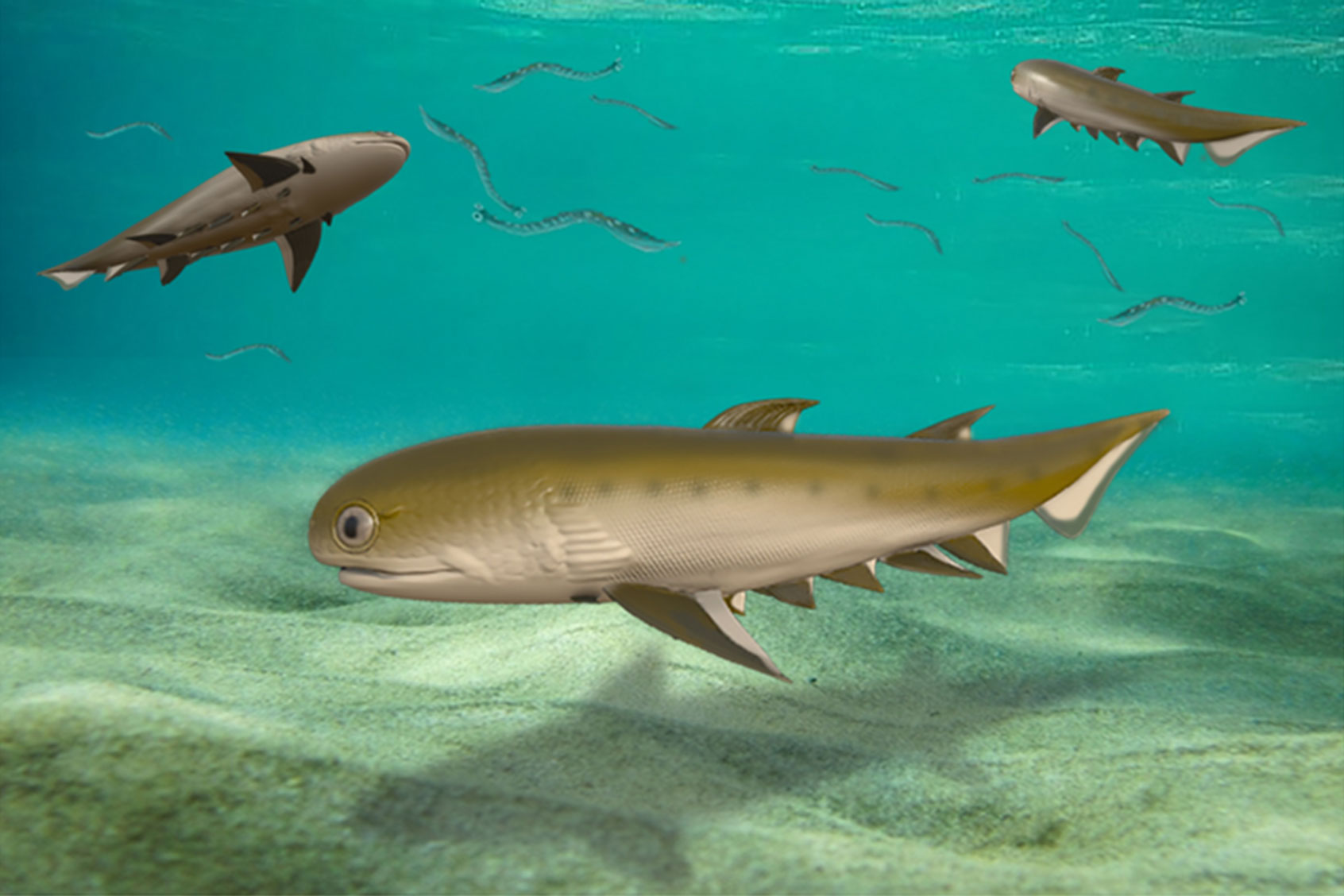 Life reconstruction of Fanjingshania renovata (FU Boyuan and FU Baozhong)