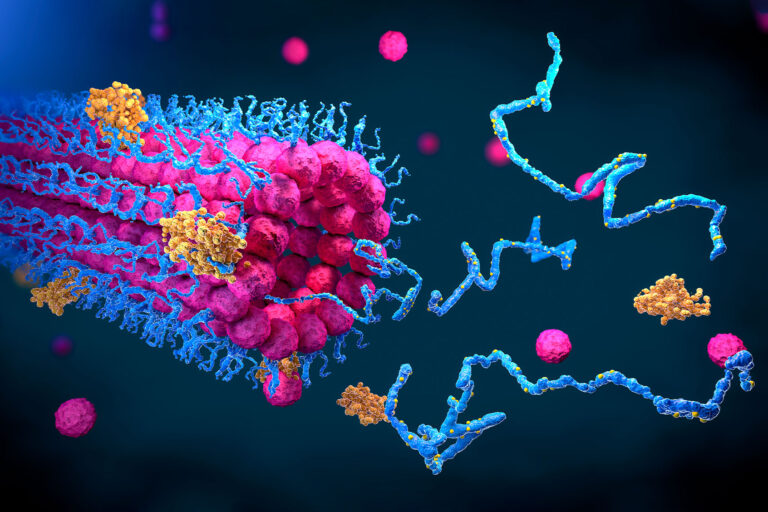 Protein folding, 3D illustration (Getty Images/	CHRISTOPH BURGSTEDT/SCIENCE PHOTO LIBRARY)