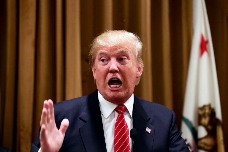 Donald Trump gestures at a press briefing (FREDERIC J. BROWN/AFP via Getty Images)