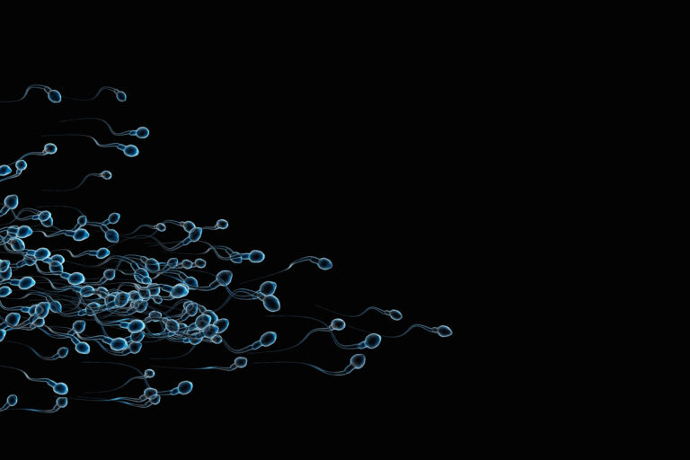 Sperm swimming (Getty Images/Burazin)