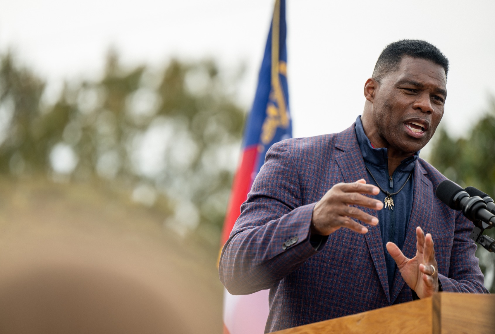 Republican U.S. Senate candidate Herschel Walker speaks to supporters at a campaign rally on November 16, 2022 in McDonough, Georgia. (Brandon Bell/Getty Images)