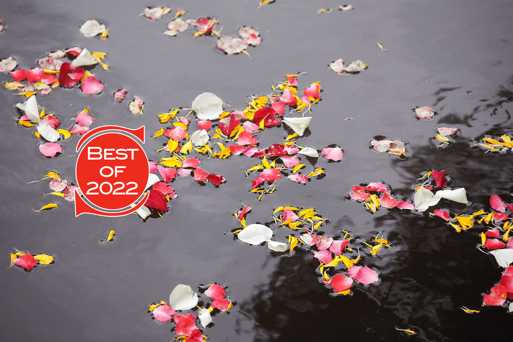 Rose Petal Floating in water for Scattered Ashes Funeral Ceremony (Salon/Getty Images/WeeranuchL)