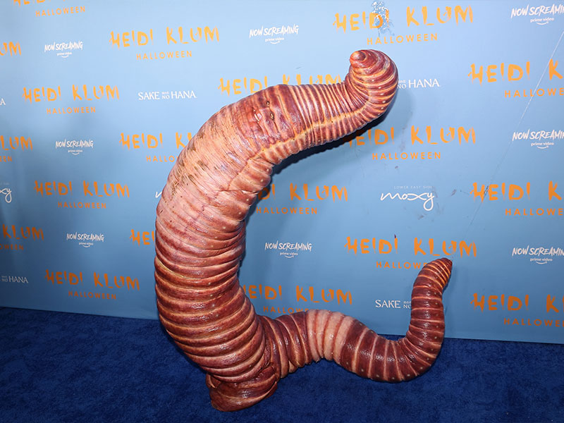 Heidi Klum