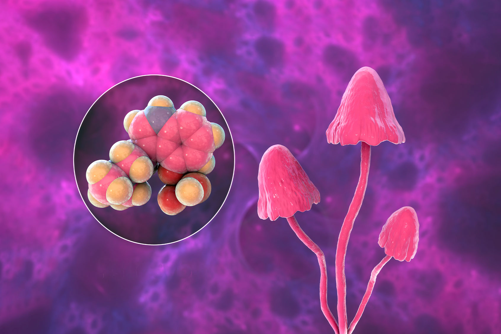 Magic mushrooms and psilocybin molecule (Getty Images/KATERYNA KON/SCIENCE PHOTO LIBRARY)