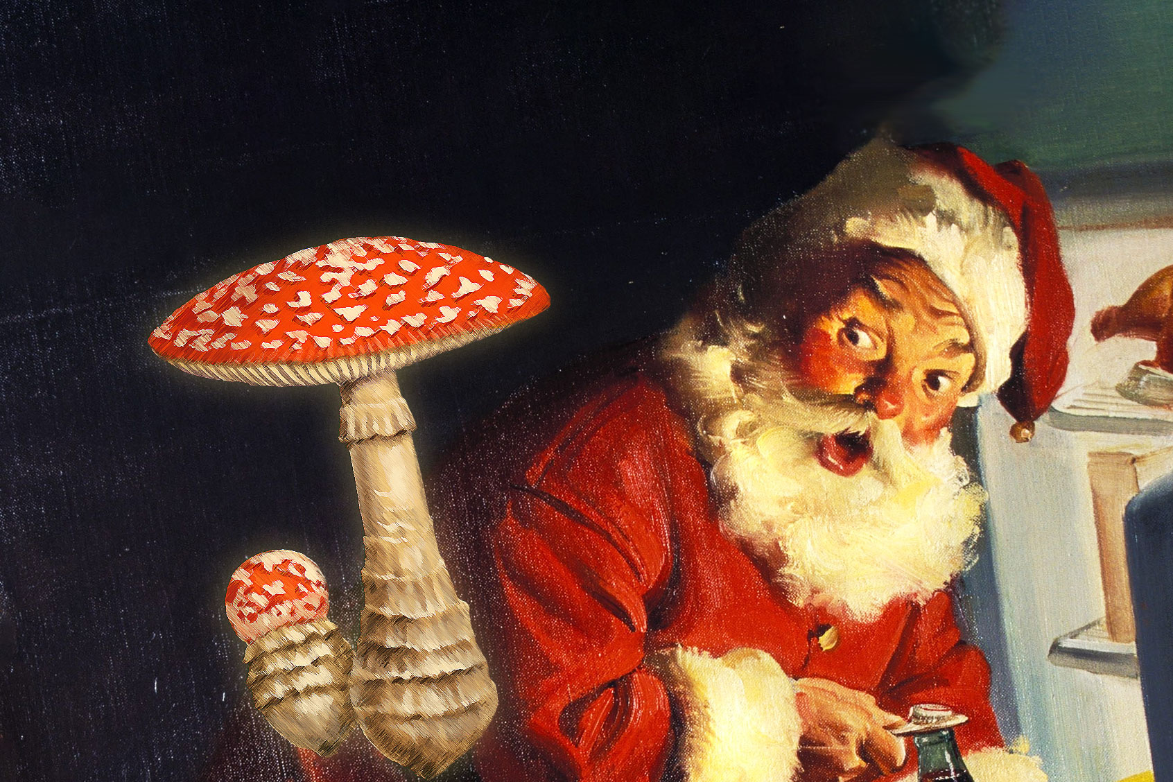 Santa Claus and fly agaric (Amanita muscaria) (Photo illustration by Salon/Getty Images)