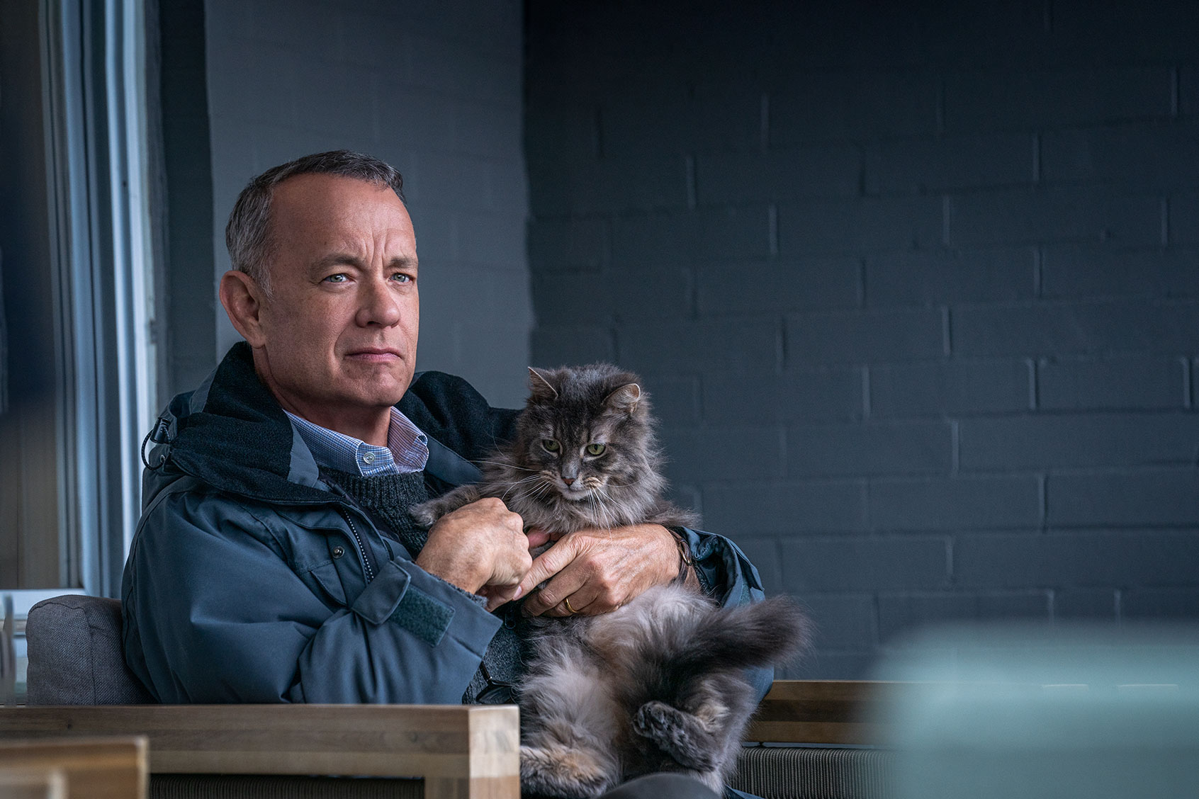 A Man Called Otto (Sony Pictures)