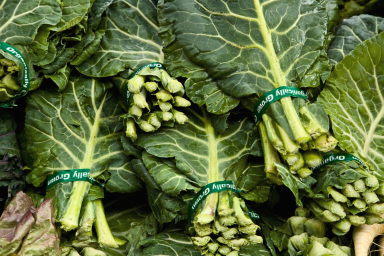 Bundles of collard greens (Getty Images/Jupiterimages)