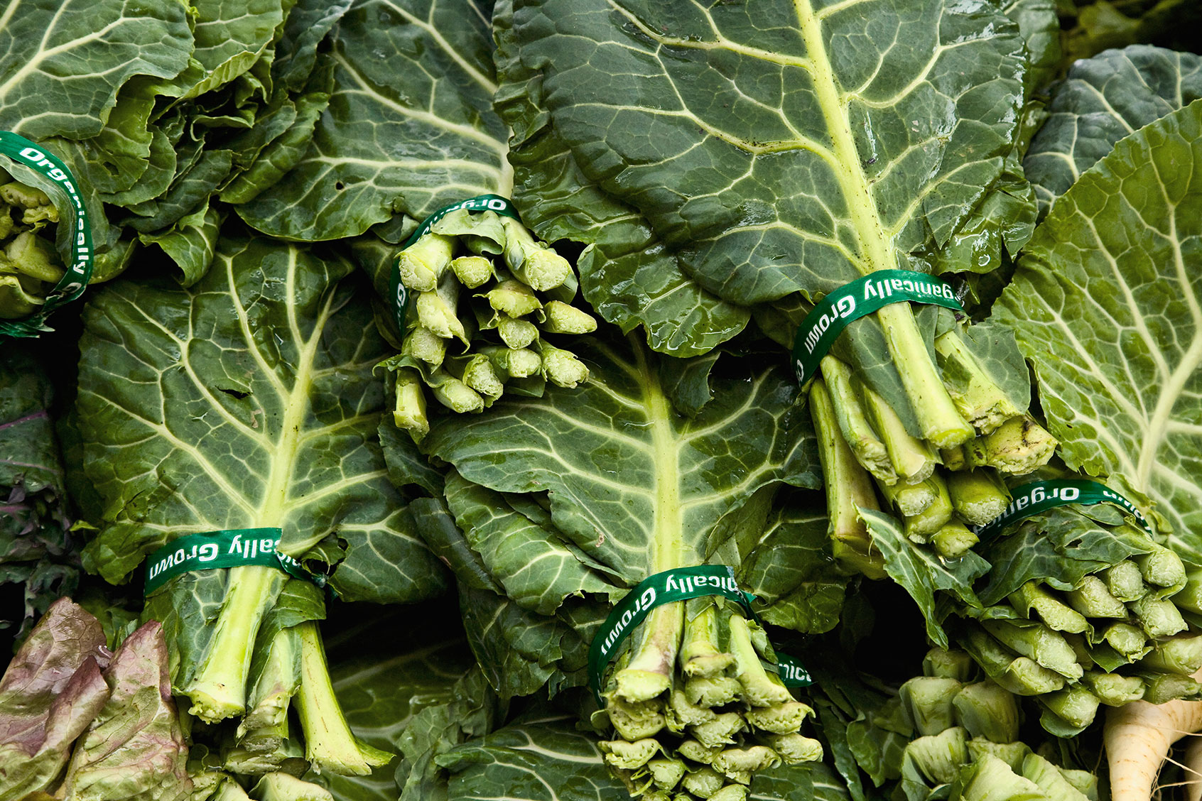 Bundles of collard greens (Getty Images/Jupiterimages)