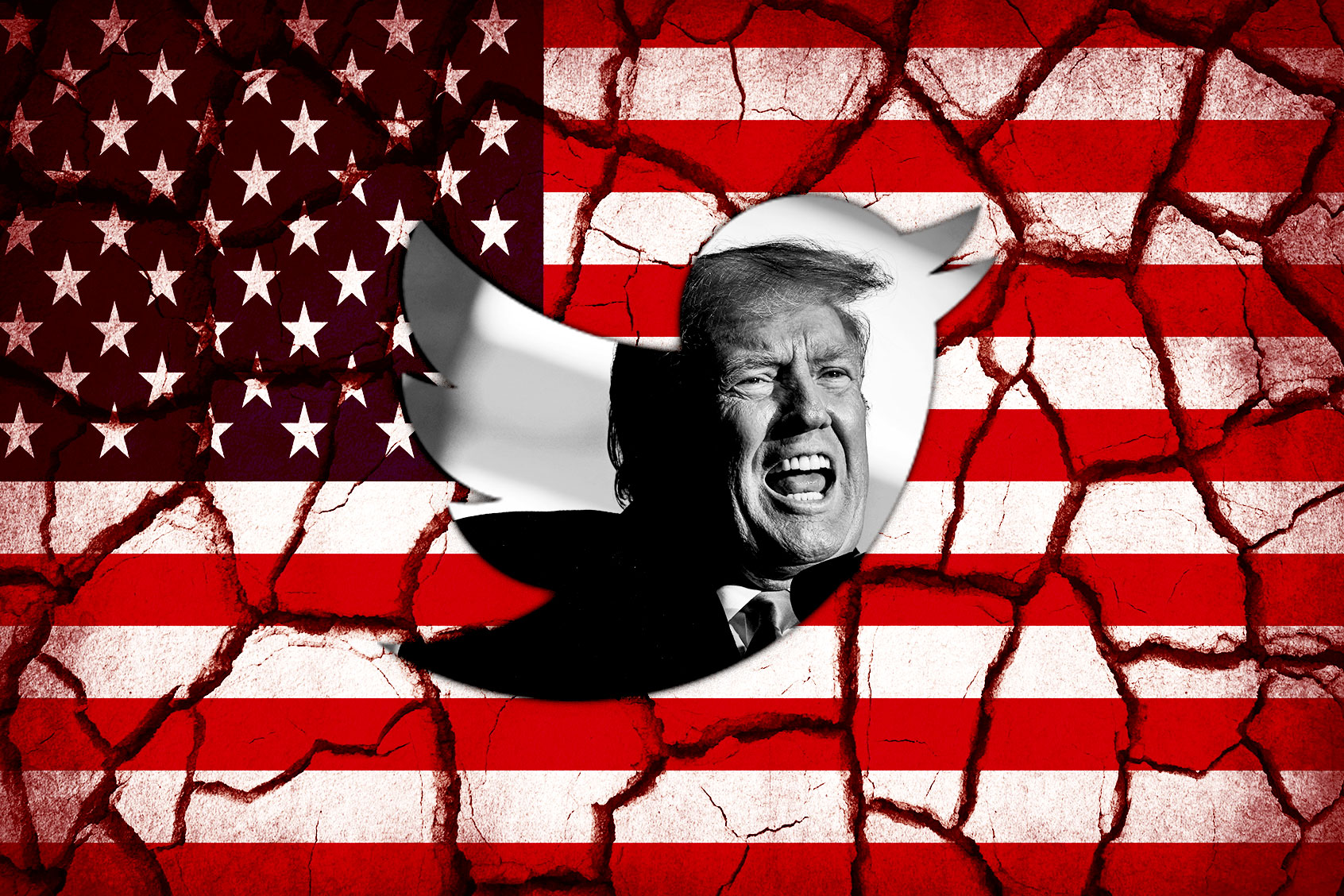Donald Trump (Photo illustration by Salon/Getty Images/Twitter)