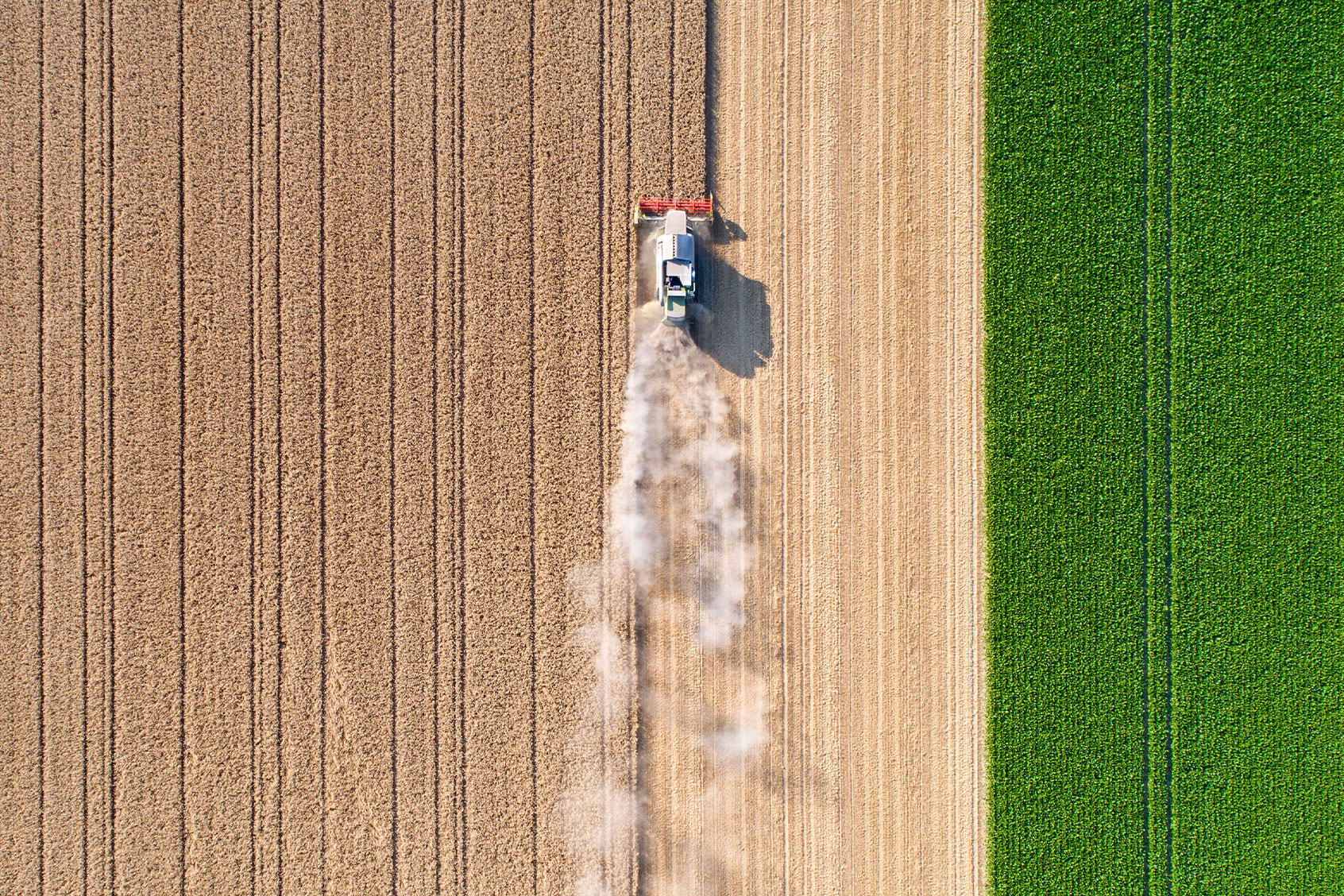 Harvesting a wheat field (Getty Images/ollo)