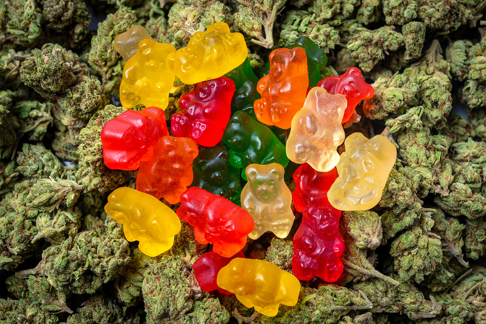 Marijuana Gummy Bear Candies (Getty Images/Juanmonino)