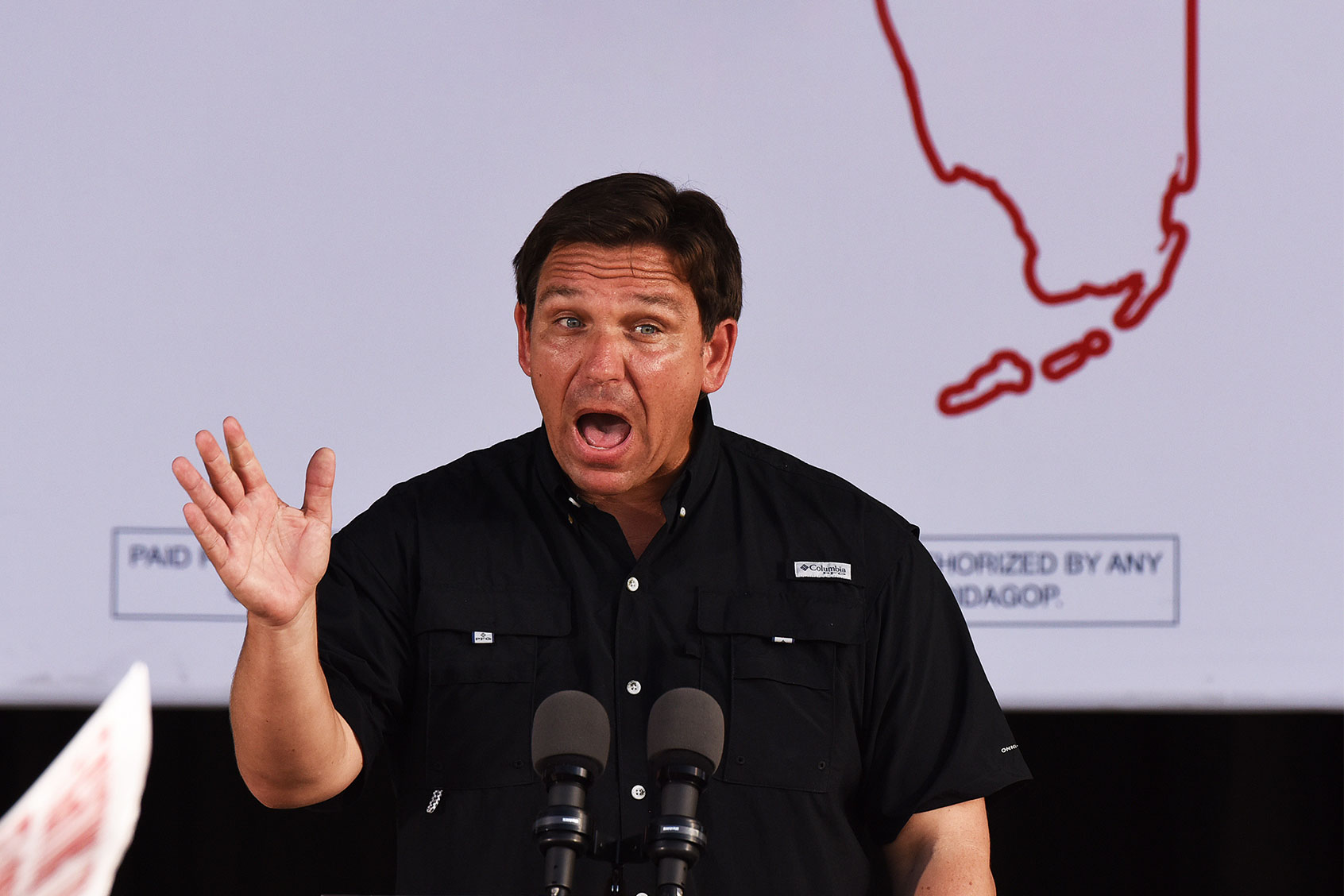 Republican Florida Governor Ron DeSantis speaks during a rally. (Paul Hennessy/SOPA Images/LightRocket via Getty Images)