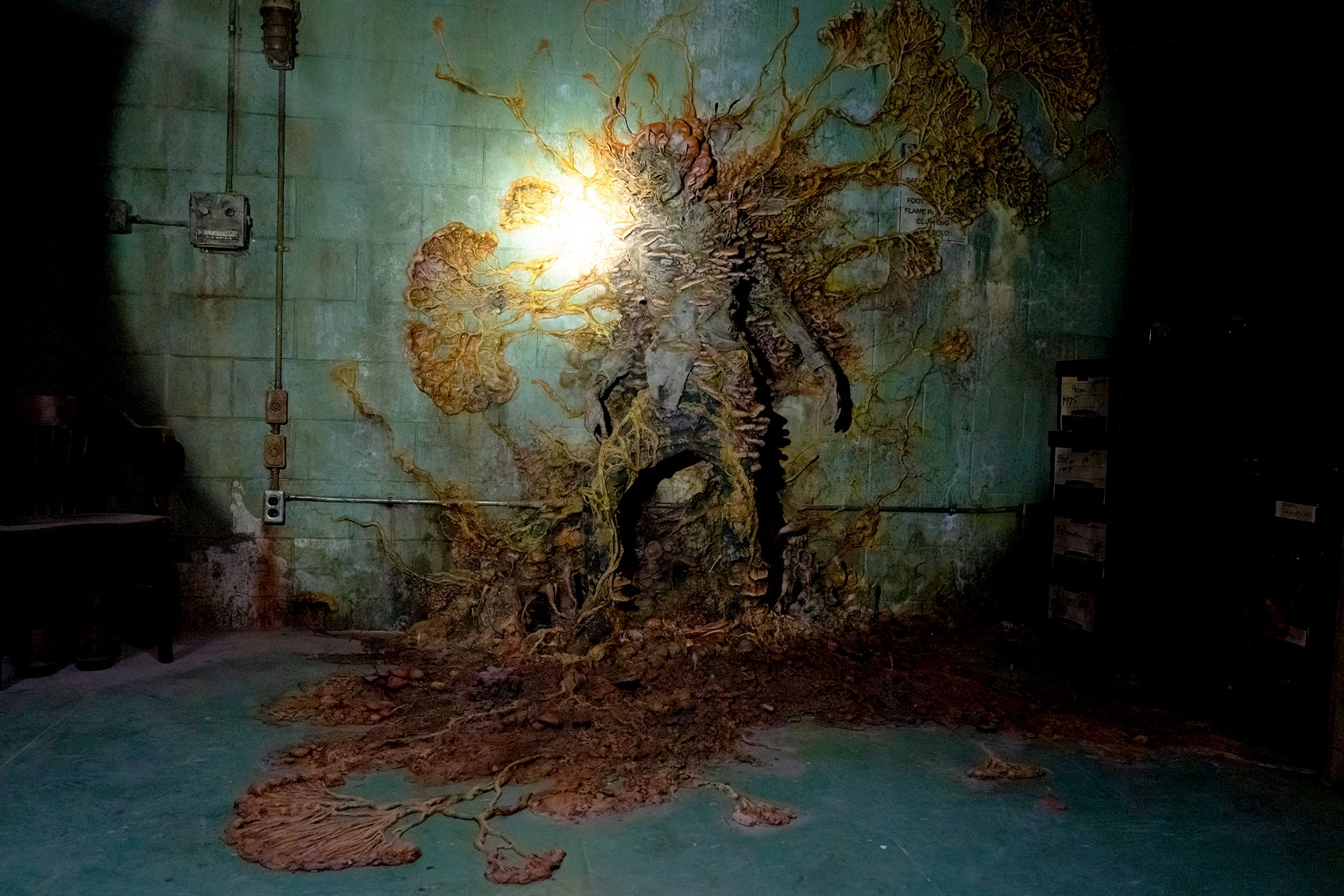 The Last of Us (Liane Hentscher/HBO)