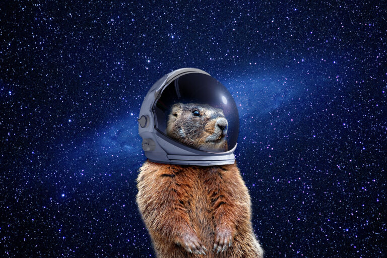Groundhog in Space (Photo illustration by Salon/Getty Images)