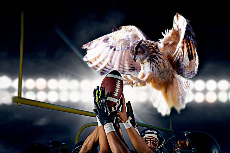 Superb Owl (Photo illustration by Salon/Getty Images)