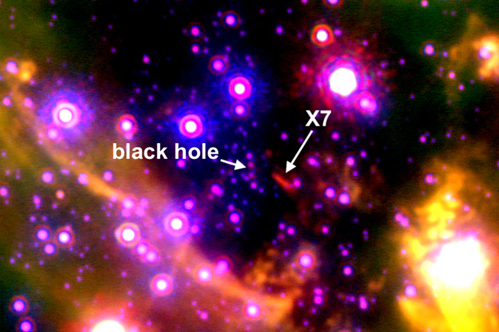 X7 location relative to the supermassive black hole (Anna Ciurlo/UCLA)