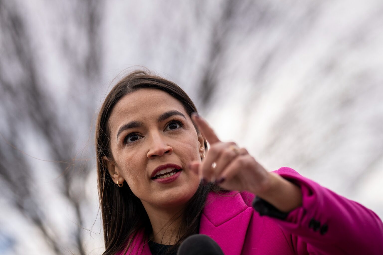 Aoc Twitter Comedian who called AOC a