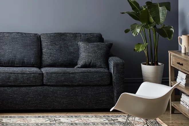 Couch (Mark Weinburg/ Food52)