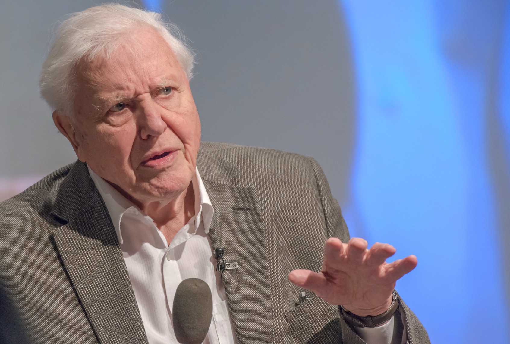 Sir David Attenborough addresses the UK Climate Assembly on January 25, 2020 in Birmingham, England. (Richard Stonehouse/Getty Images)