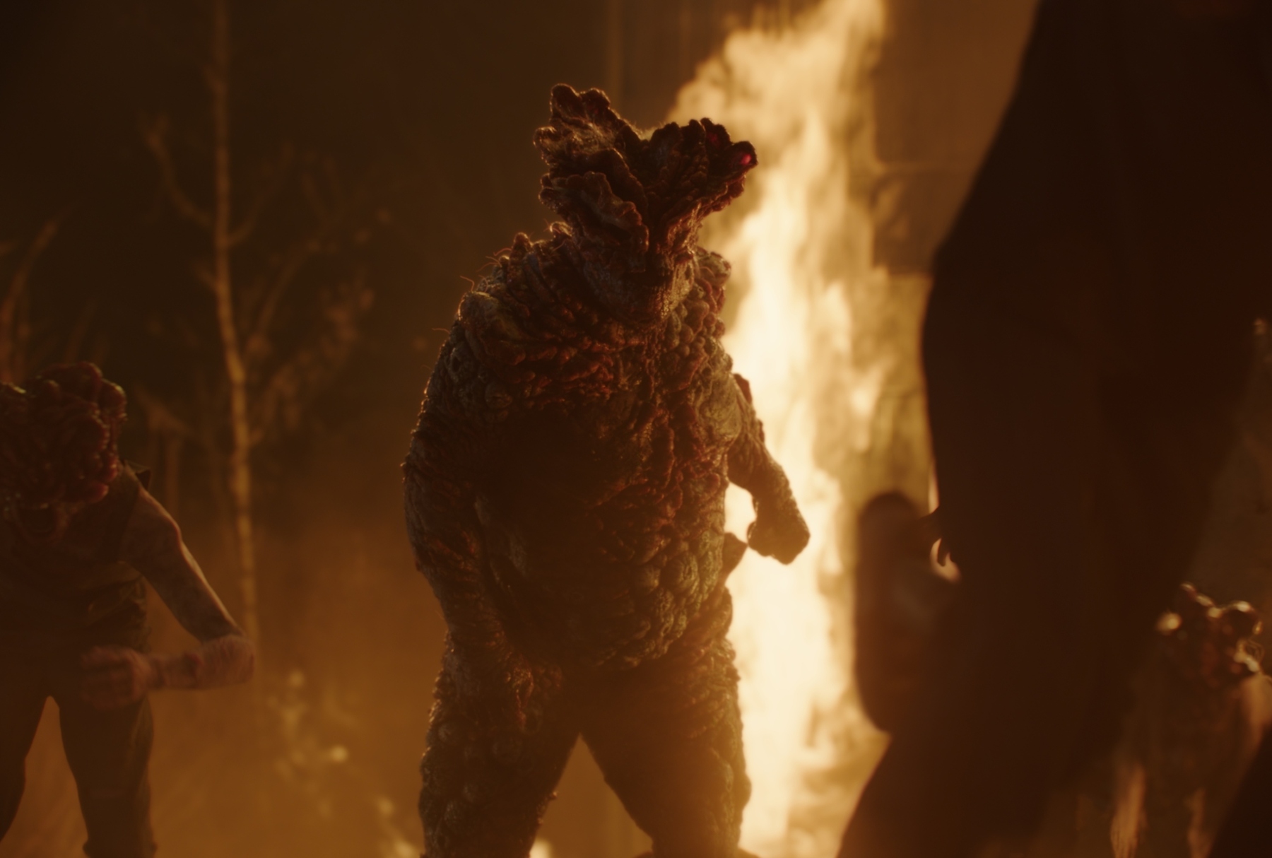 "The Last of Us" Cordyceps zombie (HBO)