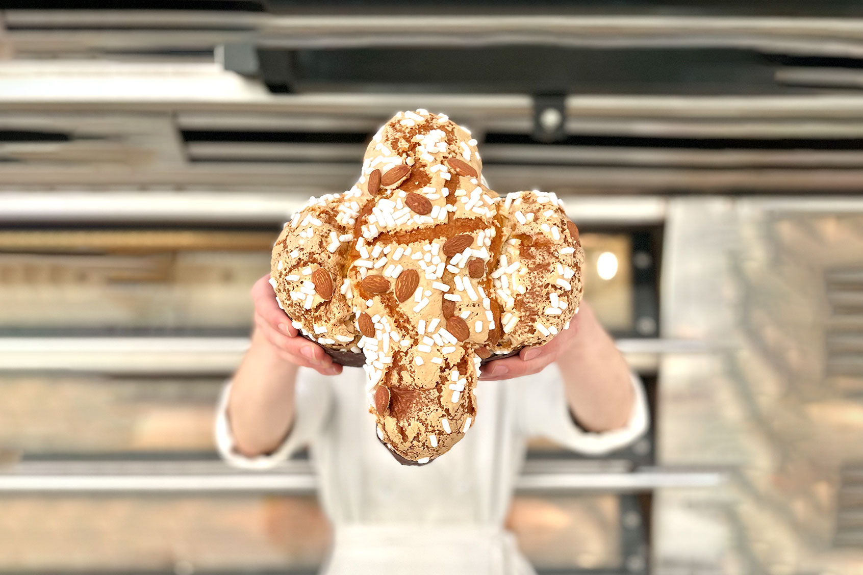 Colomba di Pasqua (Courtesy of Olivieri 1882)