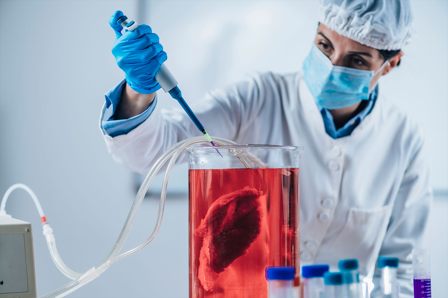 Lab-Grown Meat (Getty Images /	Stevica Mrdja / EyeEm)